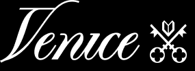 Venice.AI